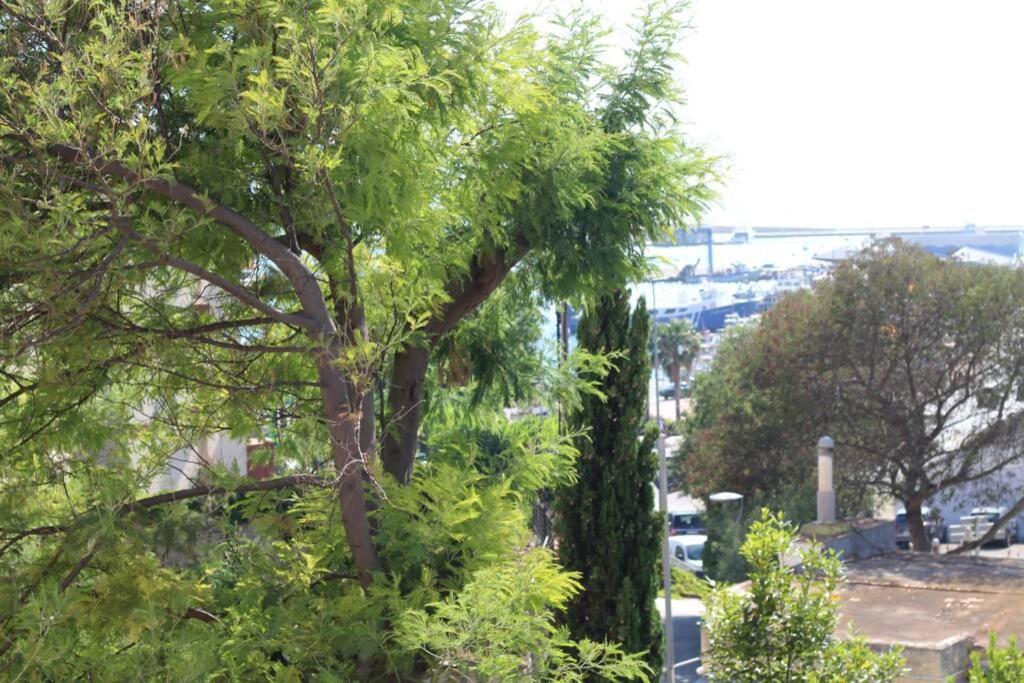 Appartement Junto Al Mar En Rosas, Puig Rom Nuevo, Wifi, Tranquilidad Roses